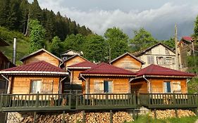 Pilita Bungalov&Rest