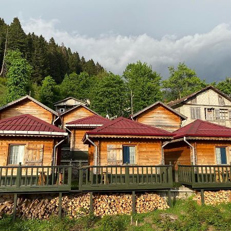 Pilita Bungalov&Rest Ayder Yaylası Dış mekan fotoğraf