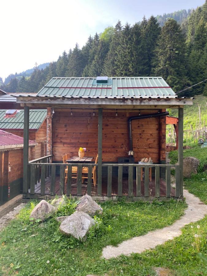 Pilita Bungalov&Rest Ayder Yaylası Dış mekan fotoğraf