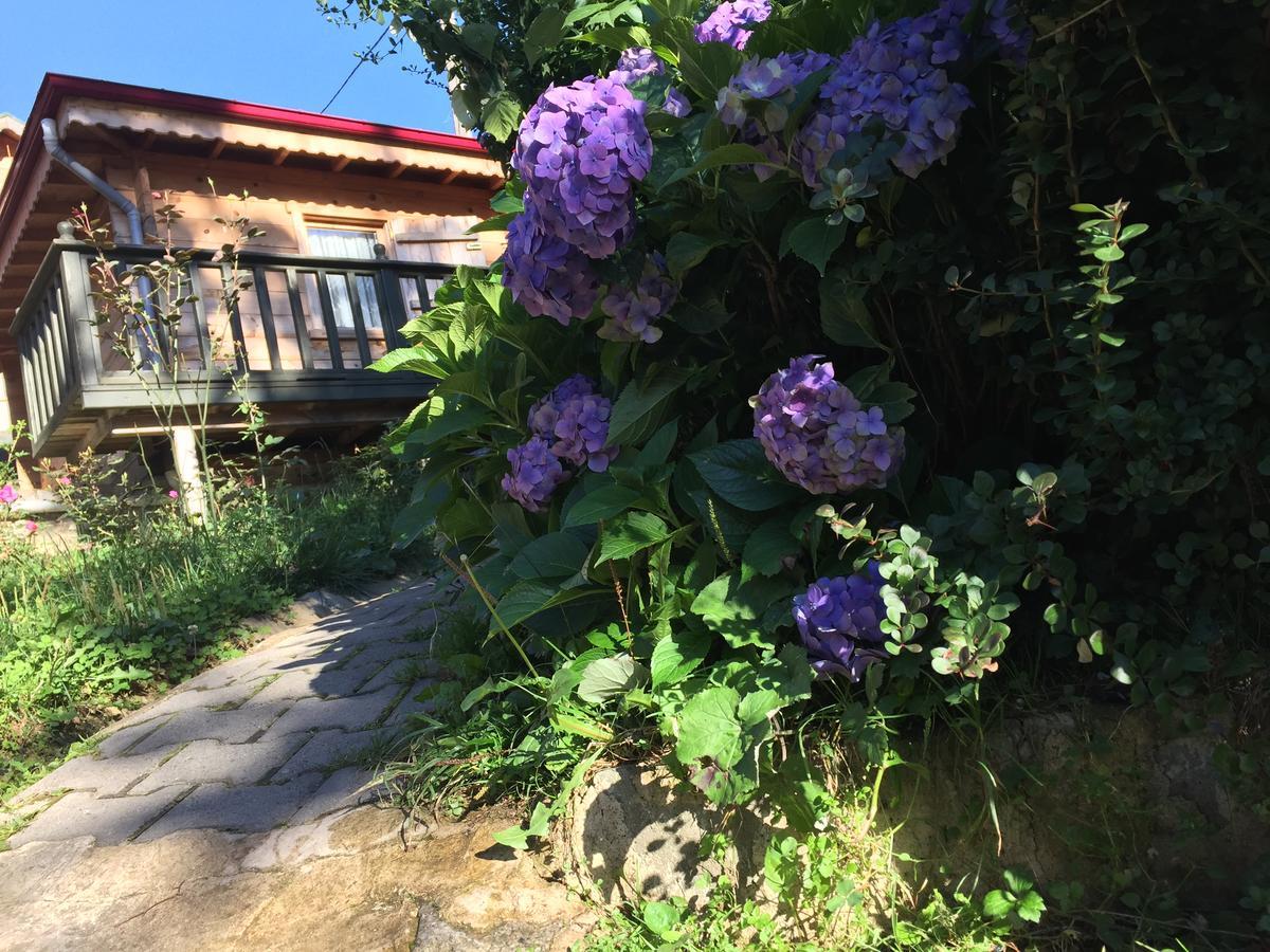 Pilita Bungalov&Rest Ayder Yaylası Dış mekan fotoğraf